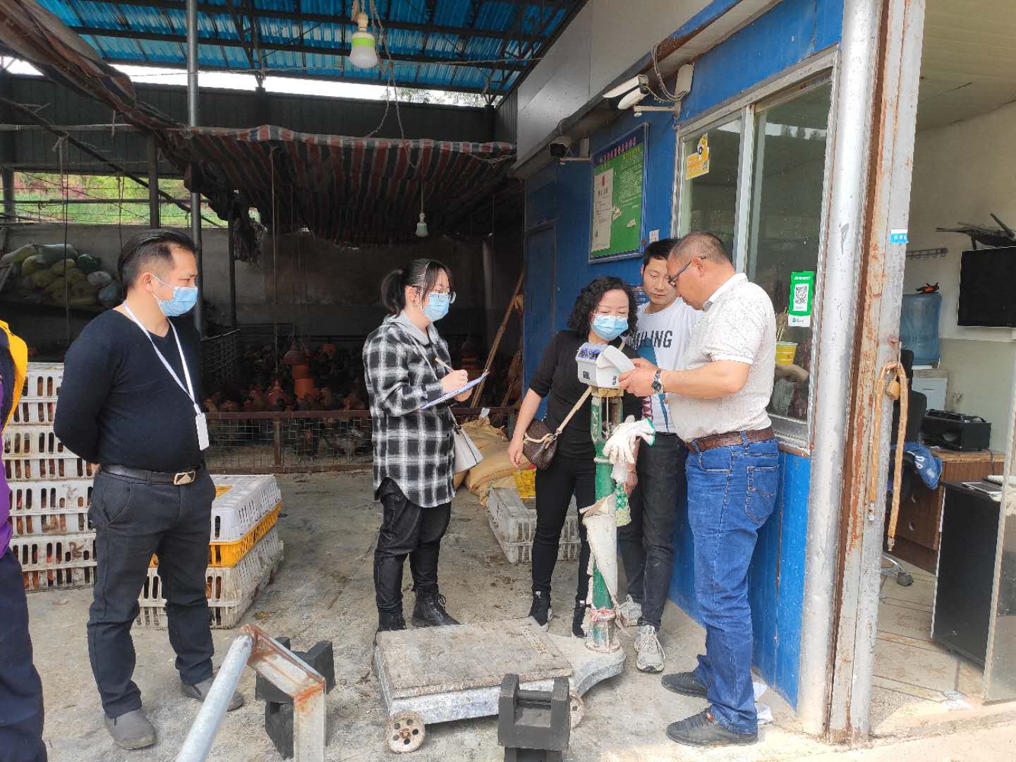 修文縣市場監管局對貴陽數字化禽蛋配送中心在用電子秤進行檢定