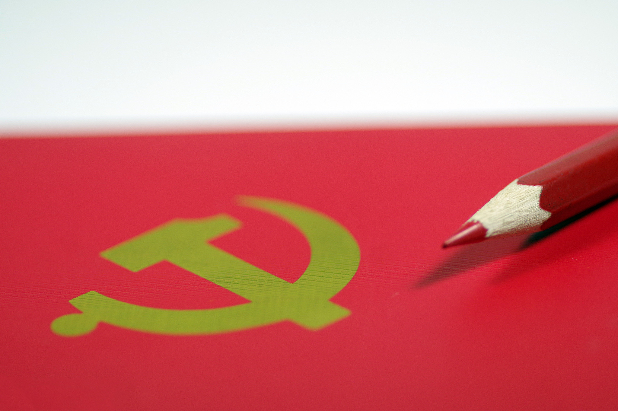 諶貽琴：深入學習貫徹黨的十九屆五中全會精神 全力以赴完成全年發展主要目標任務