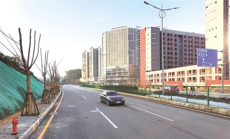 pexels-pixabay-459654.jpg 圖片