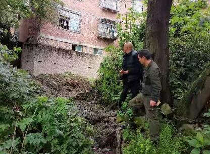 我為群眾辦實事│緊盯信訪投訴 解決居民自建房亂排汙問題