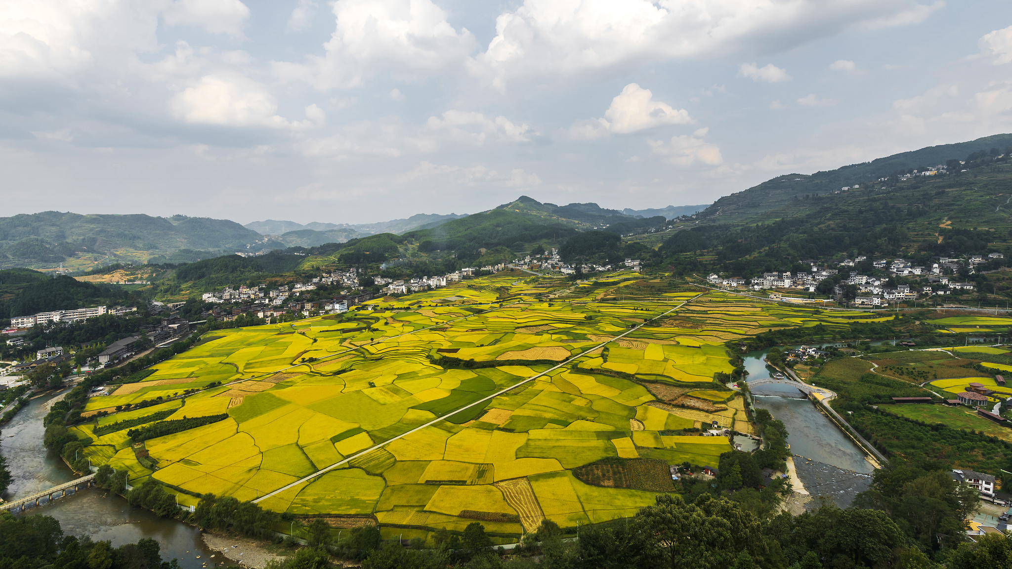 開陽縣多措並舉培育市場主體 為實現高質量市場主體發展指標良好開局