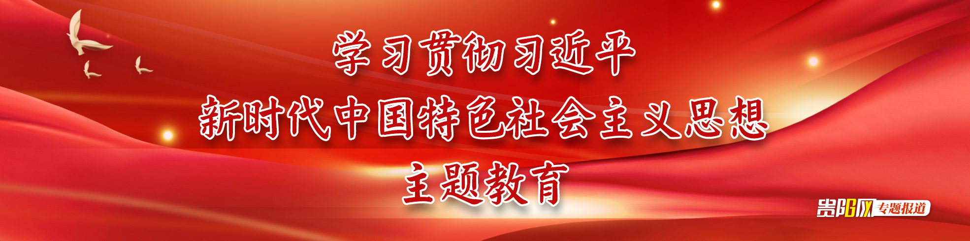 【專題】學習貫徹習近平新時代中國特色社會主義思想主題教育