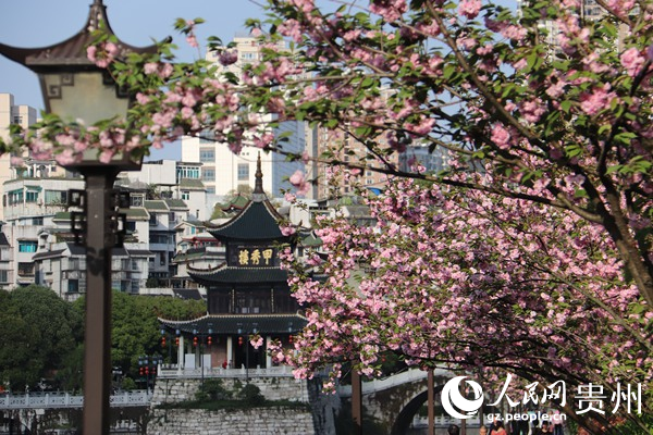 春日的南明河畔，生機勃勃。李永馨攝