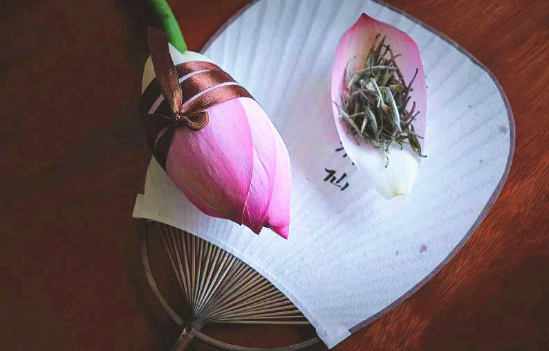 貴陽市少兒圖書館線下活動預告丨繪本閱讀《西瓜和螞蟻》、少兒茶修——“荷”以消暑，唯有茶清歡