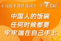 ​《習近平著作選讀》學習筆記：中國人的飯碗任何時候都要牢牢端在自己手上