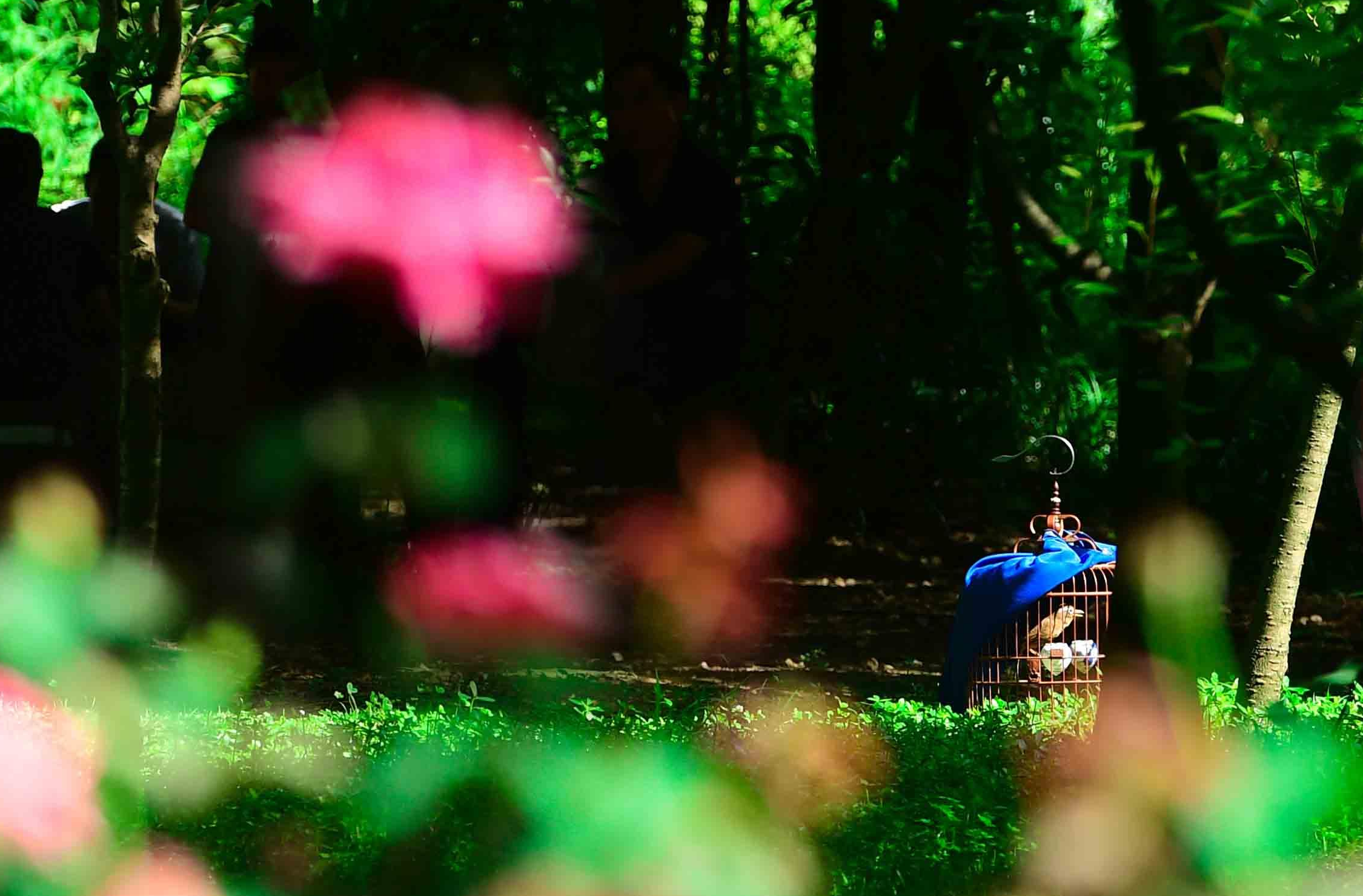 貴陽：花溪公園避暑遊