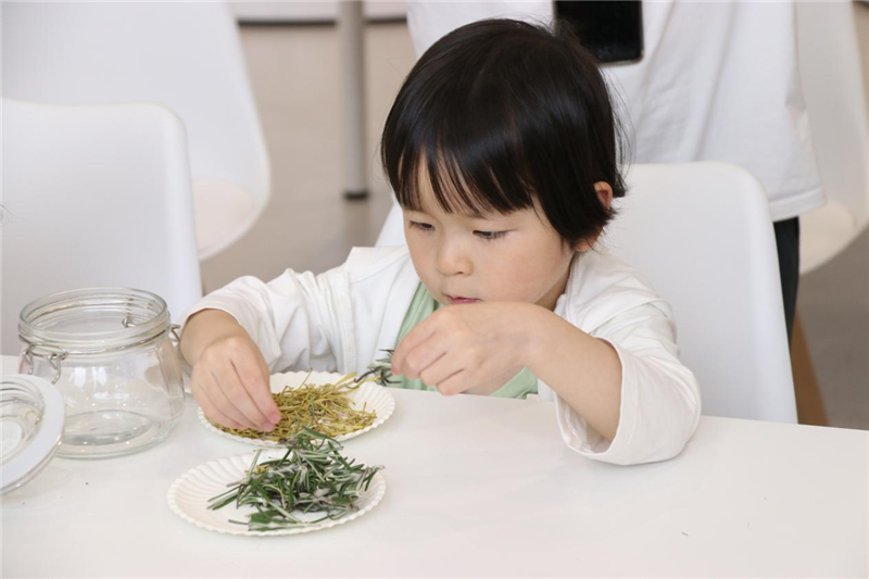 貴陽市少兒圖書館舉辦傳統文化“認識中草藥”自製防蚊水活動