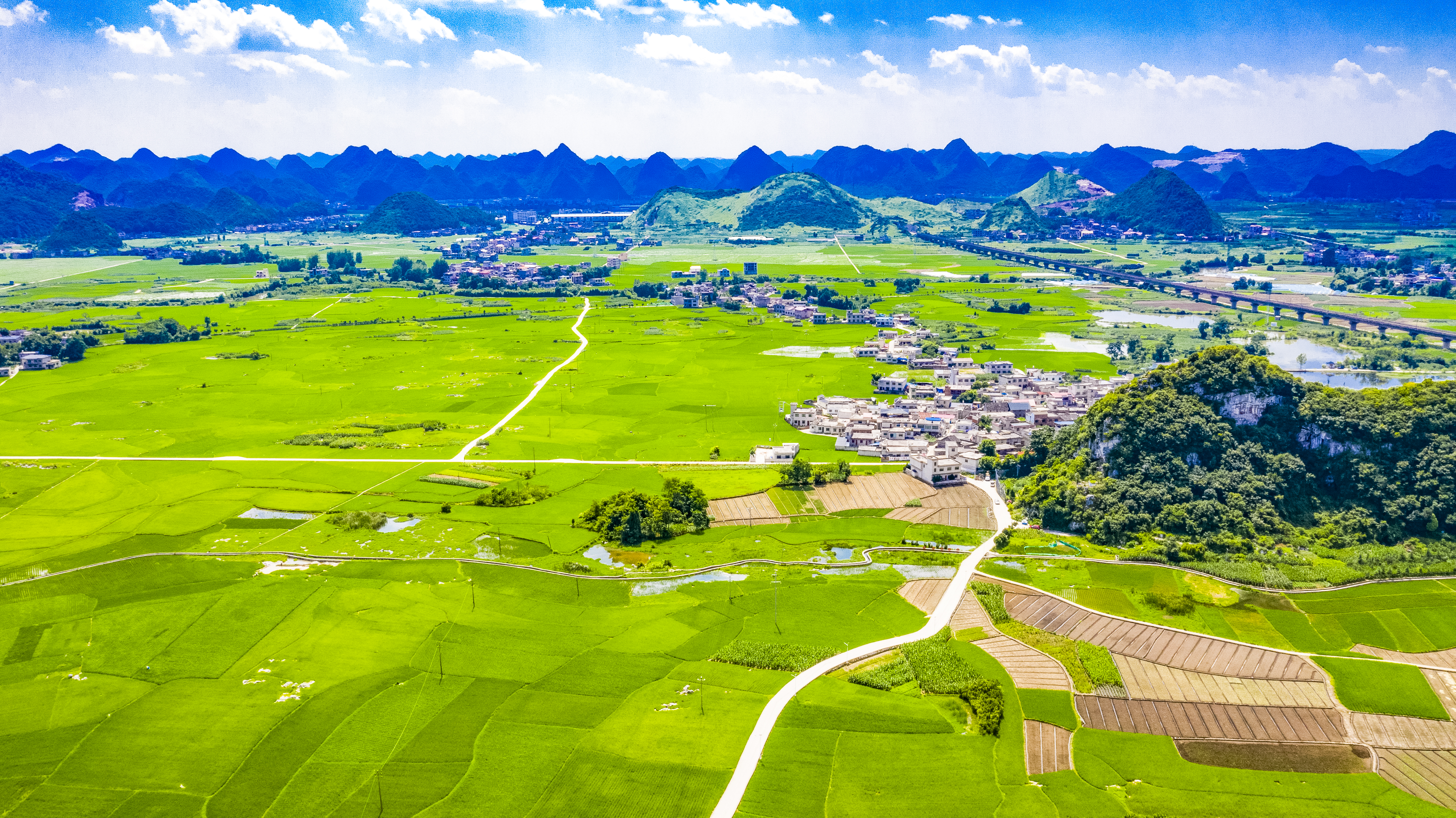 【立足崗位作貢獻】郝磊：打好“三張牌” 為民辦實事