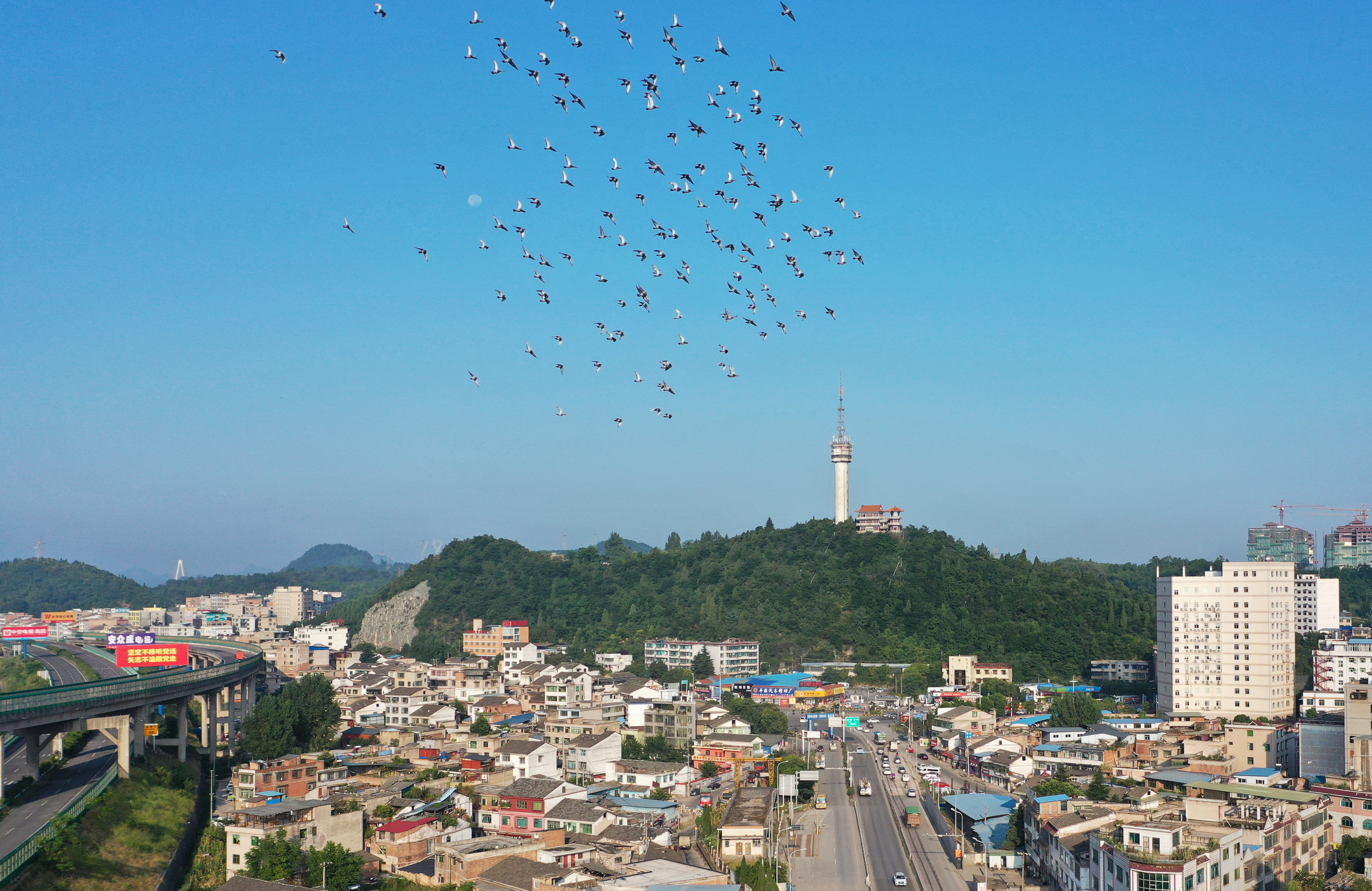 清鎮市“五舉措”推動退役軍人服務工作提質增效