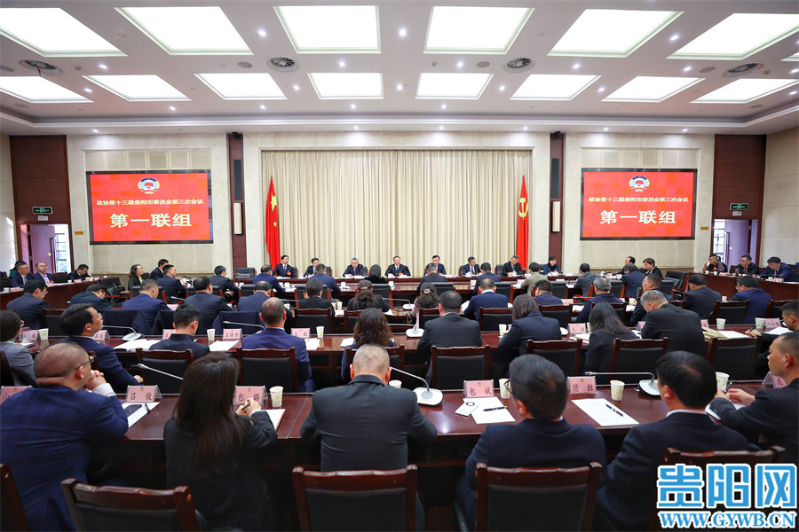 胡忠雄參加市政協十三屆三次會議第一聯組議政會