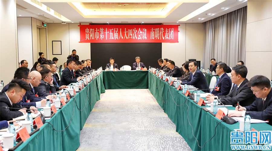 馬寧宇參加南明代表團審議