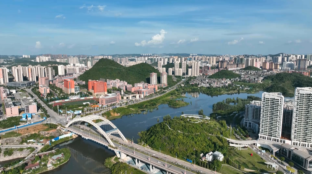 QQ截圖20240802115513_副本