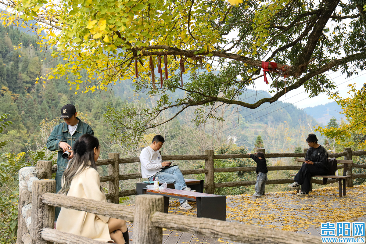 mmexport1753781569843