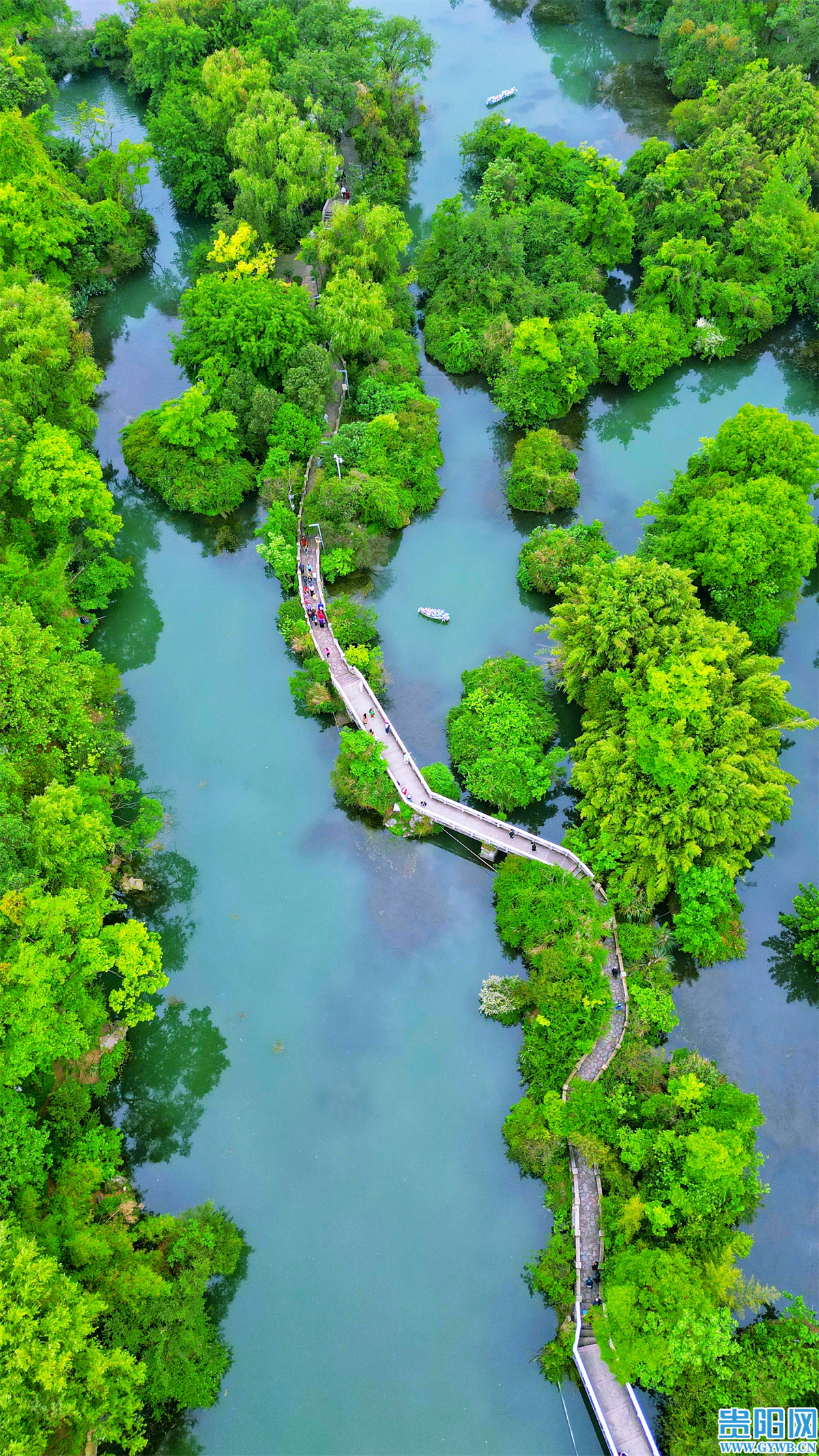綠意盎然的花溪公園。徐其飛 攝