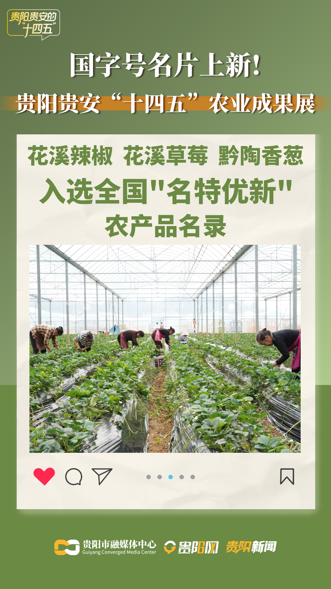 花溪辣椒、花溪草莓、黔陶香蔥 .png