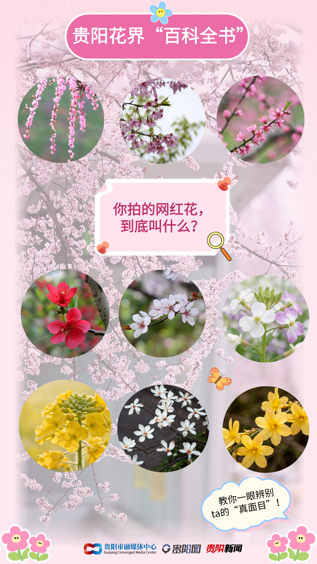 1772677562059046677.png 1.png