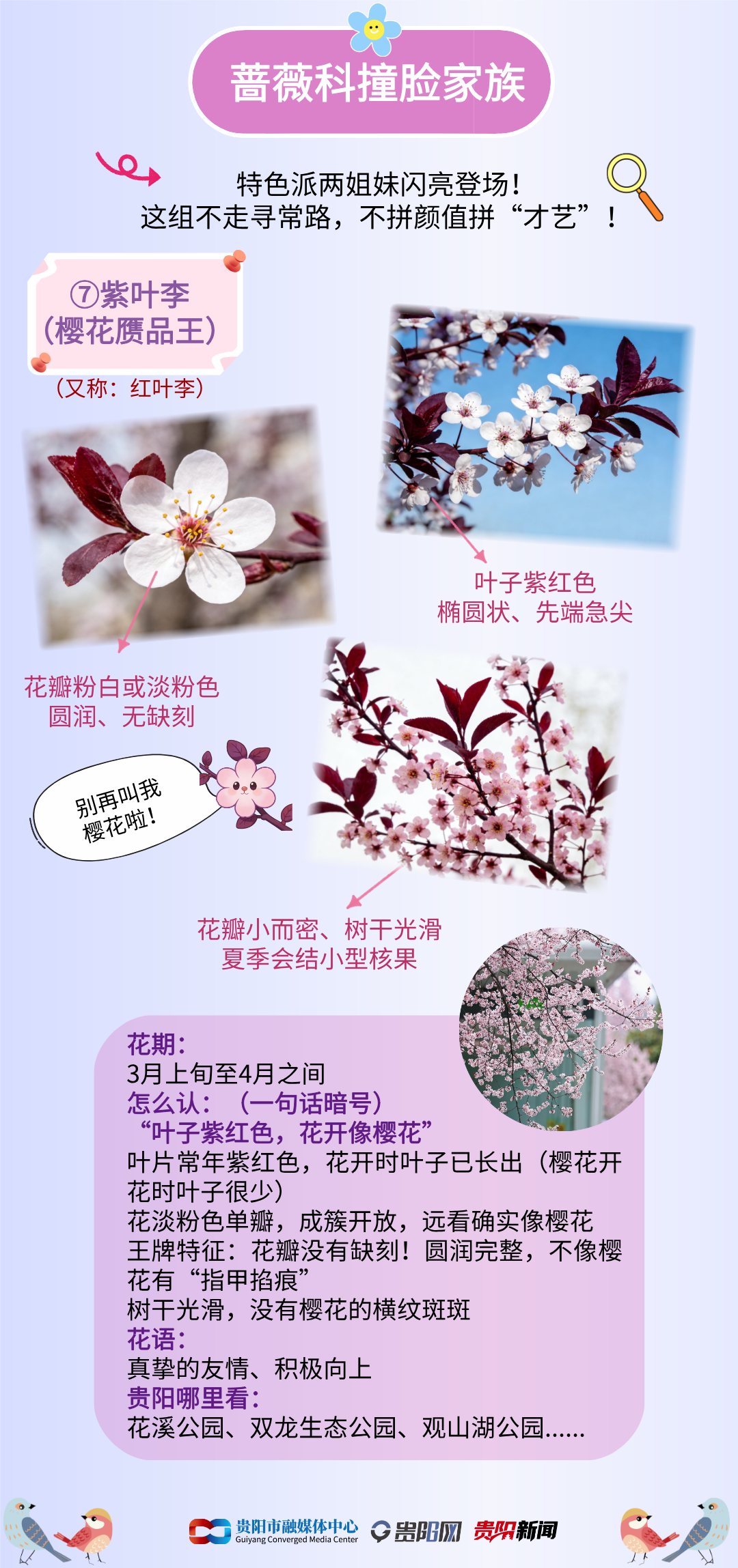 1772780383984058175.png 2.png