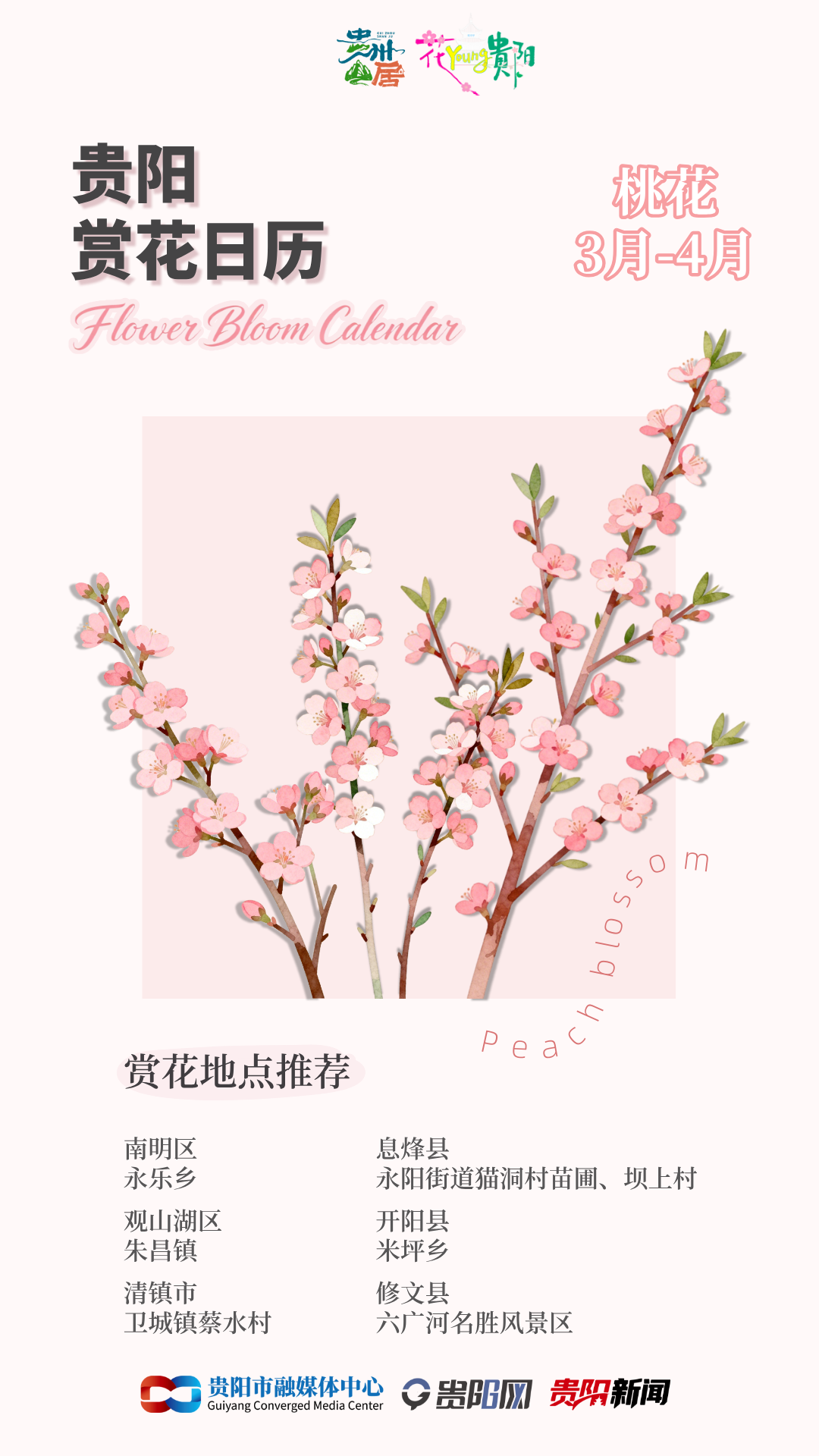 副本_副本_未命名__2026-03-10+10_17_52_副本