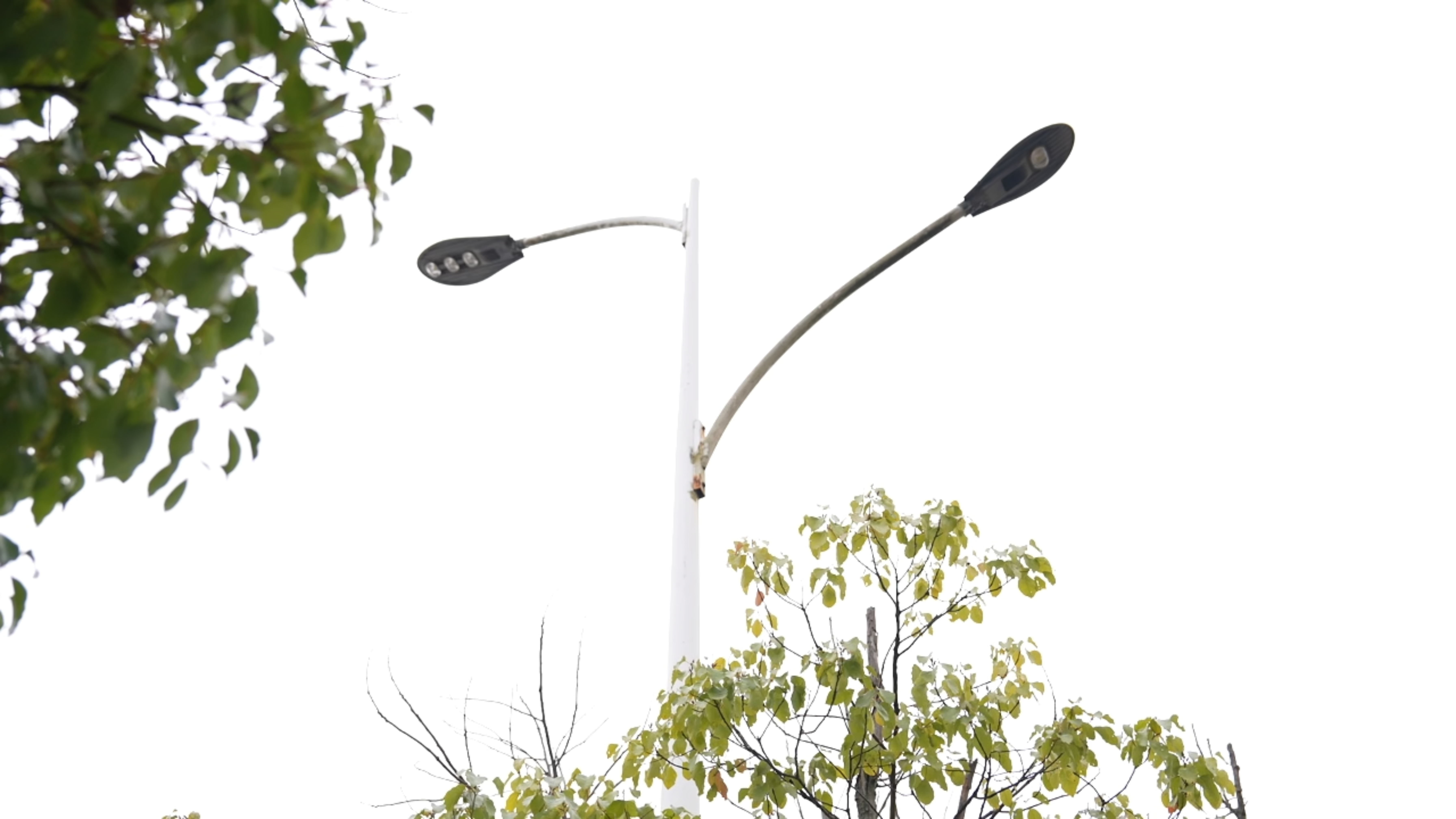 水東路延伸段照明設施