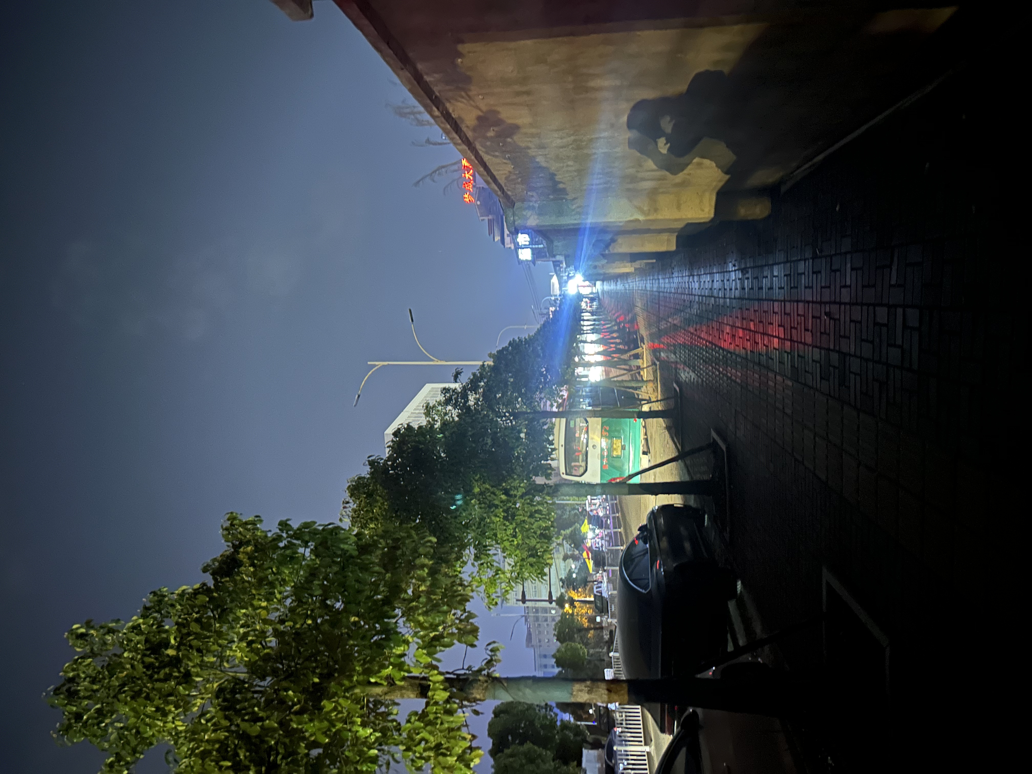 水東路延伸段夜晚情況(市民提供)