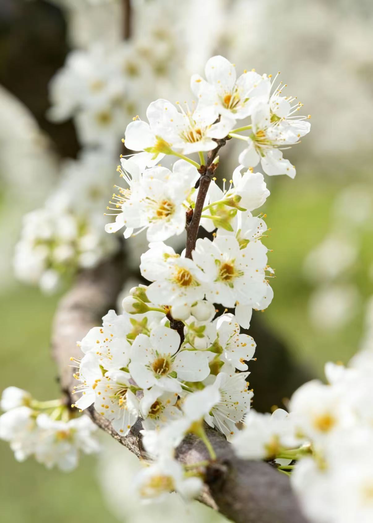 1773218395980068804.jpg 204e5da7c0352e200043e1c879ae7364.jpg