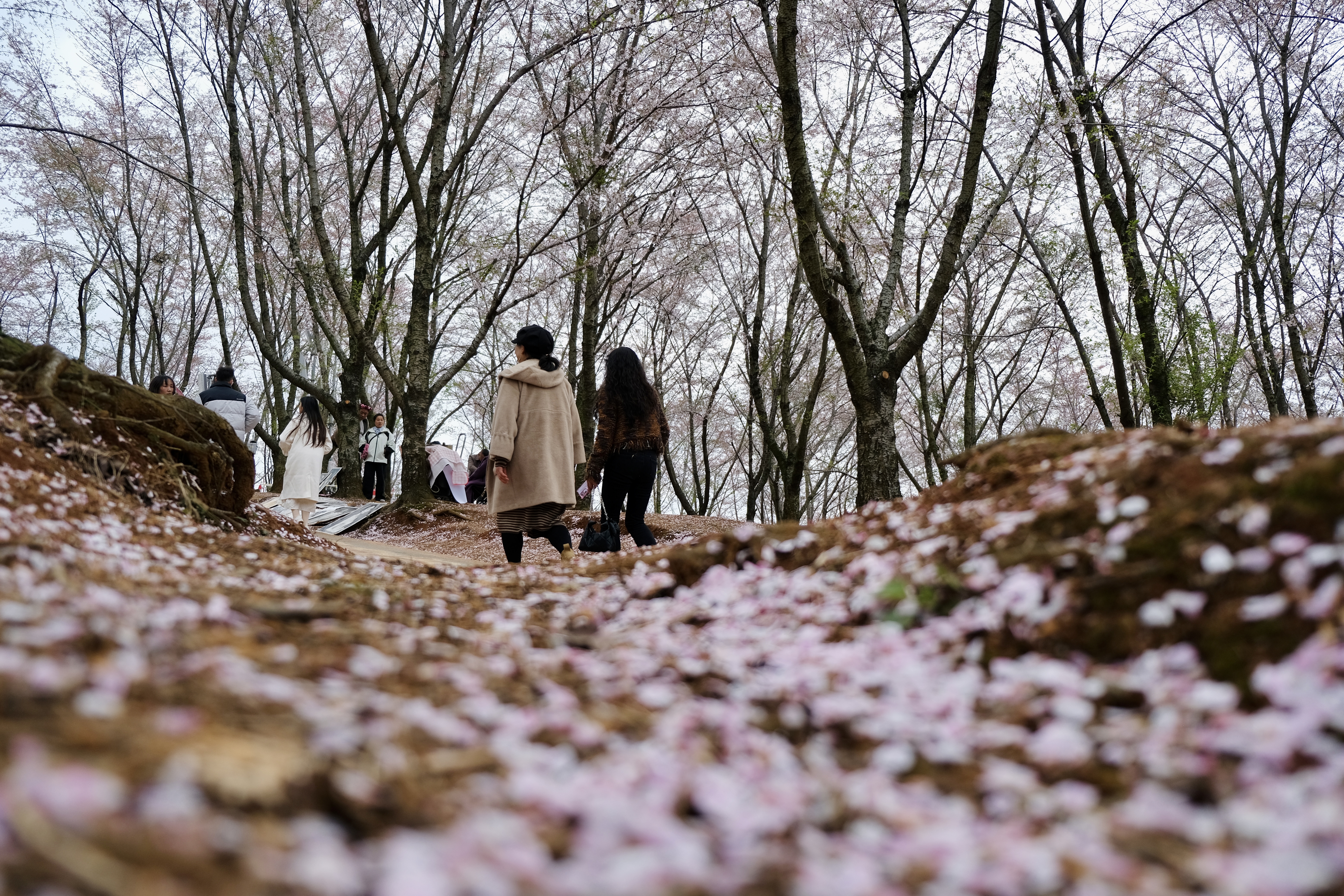 1773898925584019276.jpg 4958a08bd1c211e55e336239ba340733.jpg