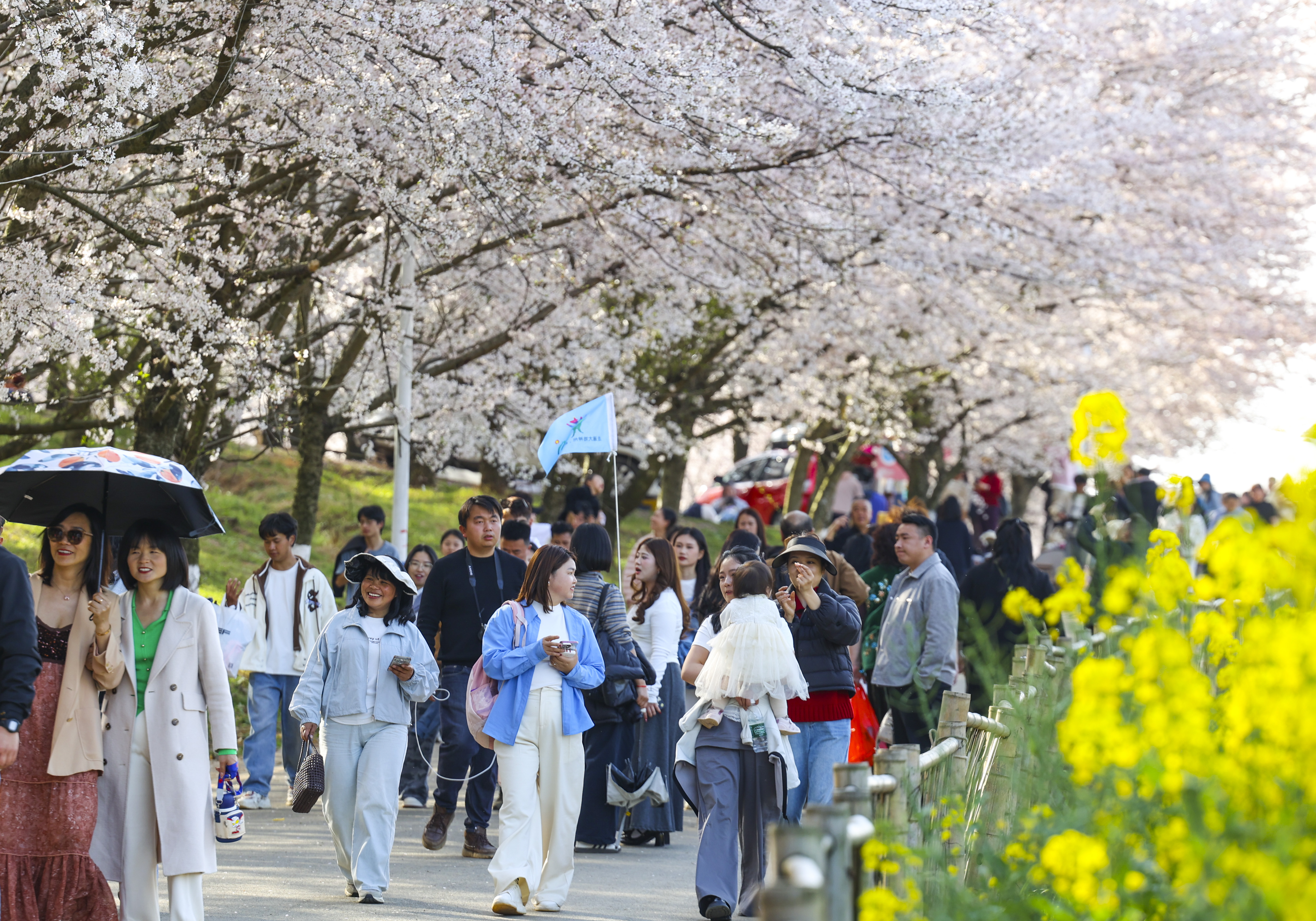 1773899156957098494.jpg 4d445ec1422c97e804699e713bf5ad21.jpg