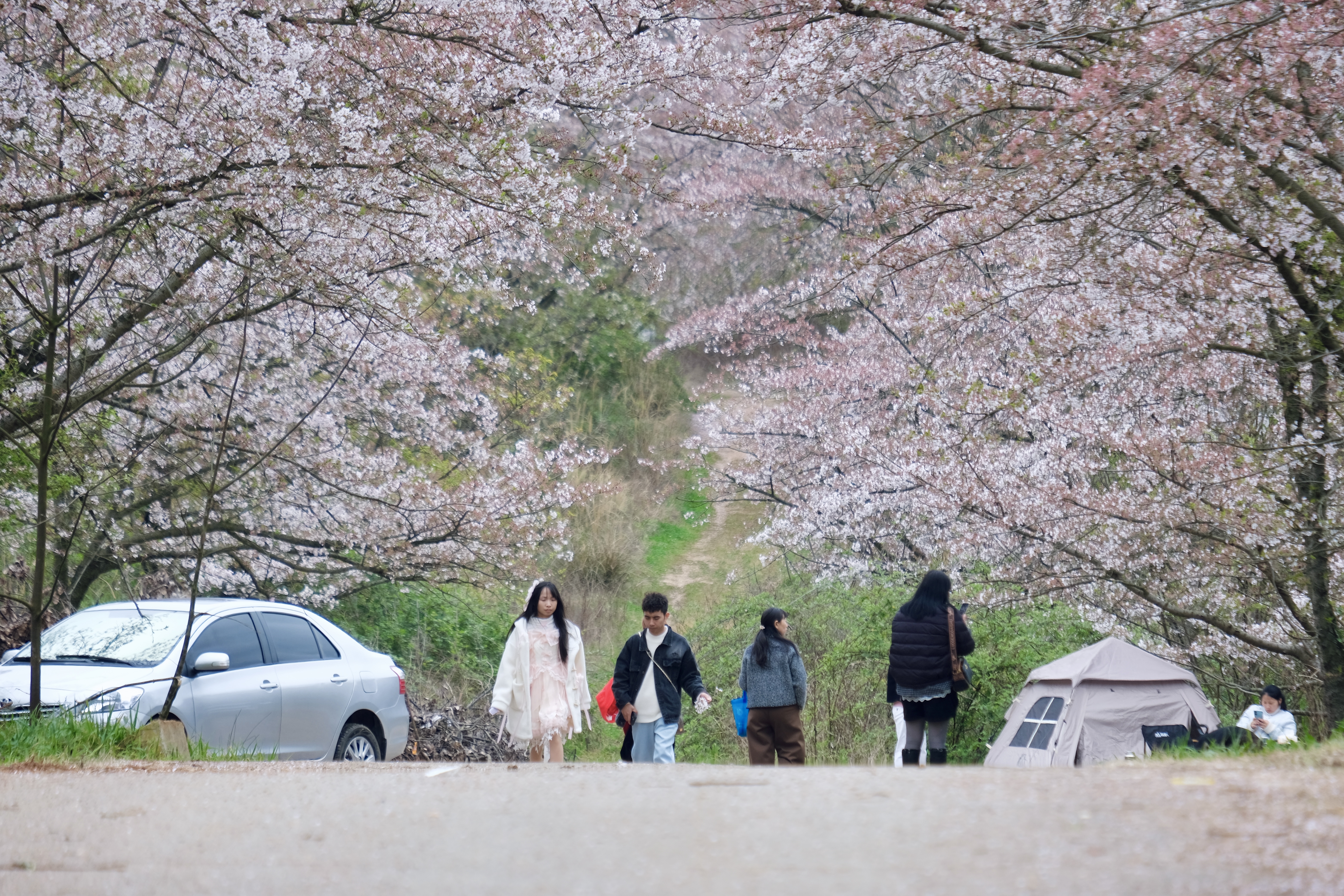 1773898938891064474.jpg 90554d7f27cd9ad2be5bb3aac509a06b.jpg