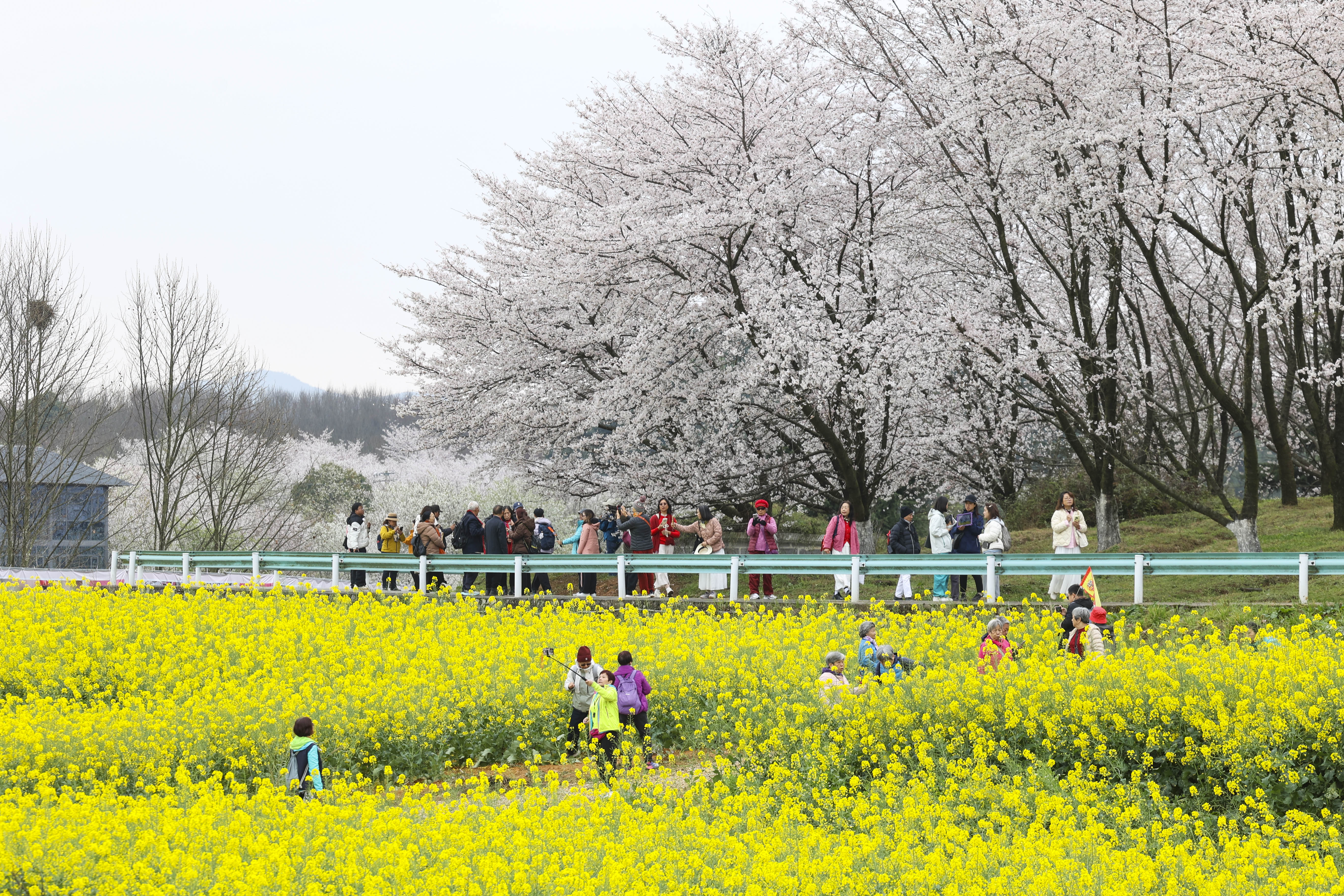 1773899084079036268.jpg 95723e69c47fb0fc69d3f5e11f6de66e.jpg