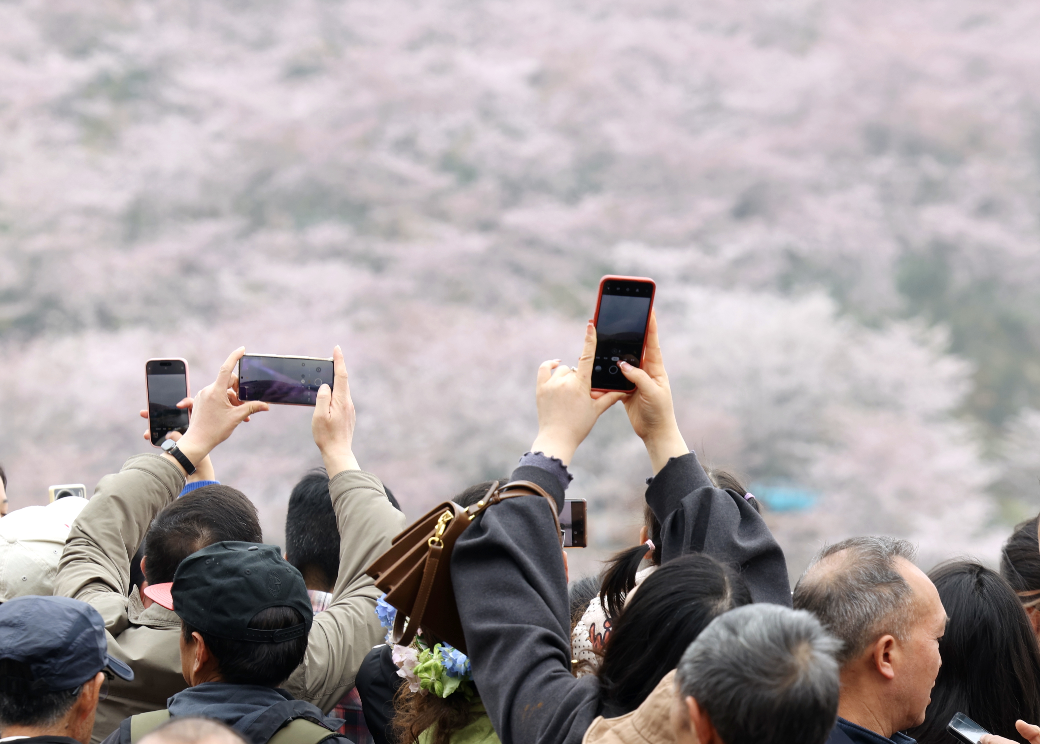 1773899093923006374.jpg 8d5f9b43acfb8ca0374a593a66fc606d.jpg