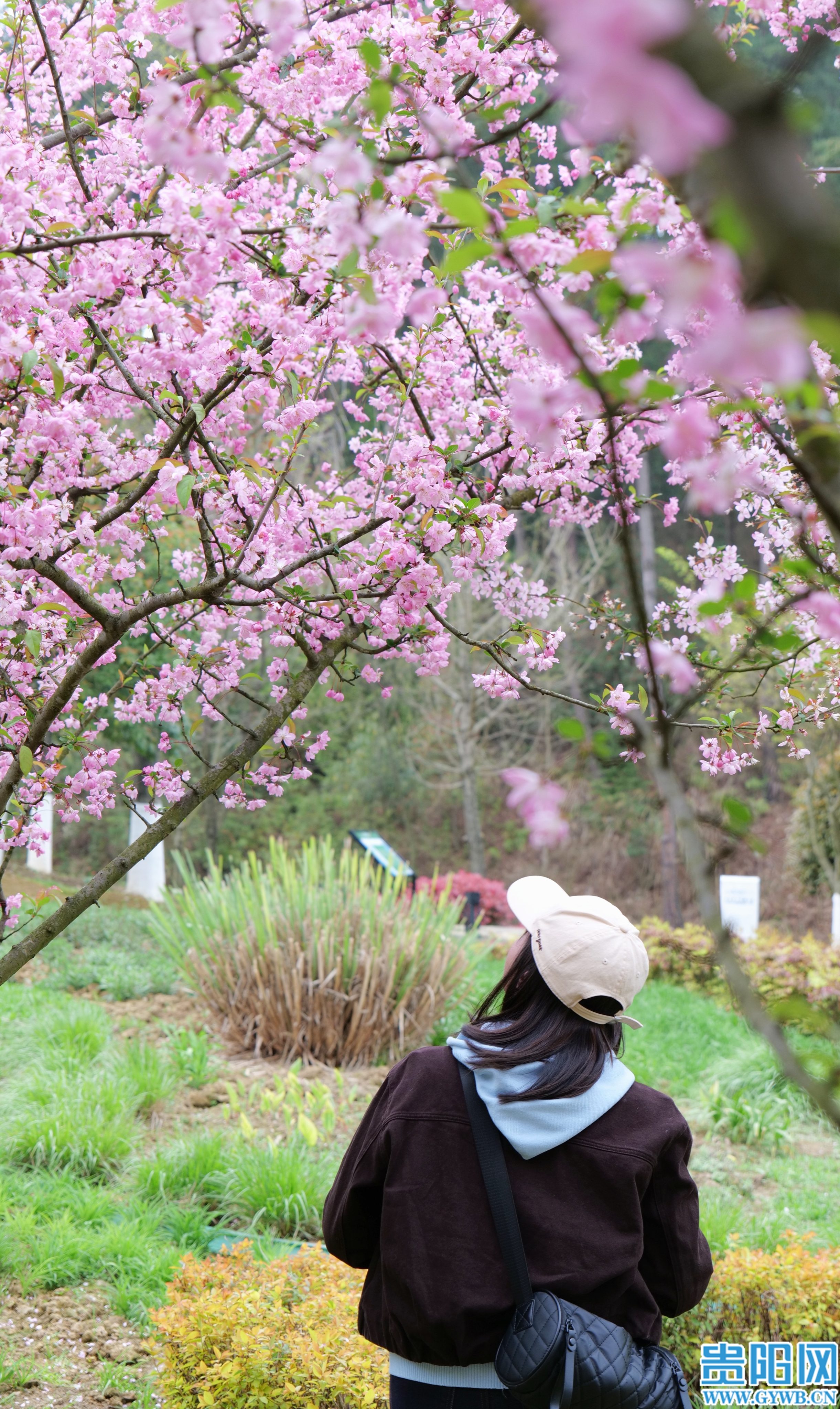 1774413337430013760.jpg 3b711404e95f402f968439b6ccc665eb.jpg